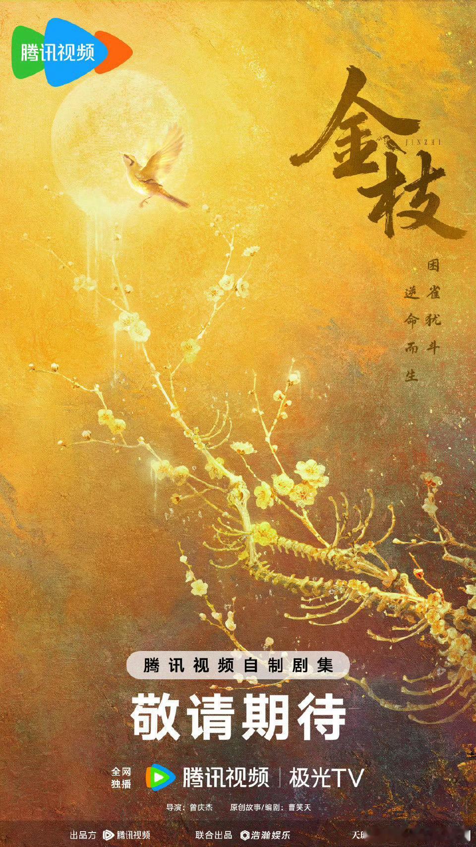 金枝 李一桐金枝女主李一桐李一桐又美演技又灵，之前《鹤唳华亭》陆文昔演得超棒，真