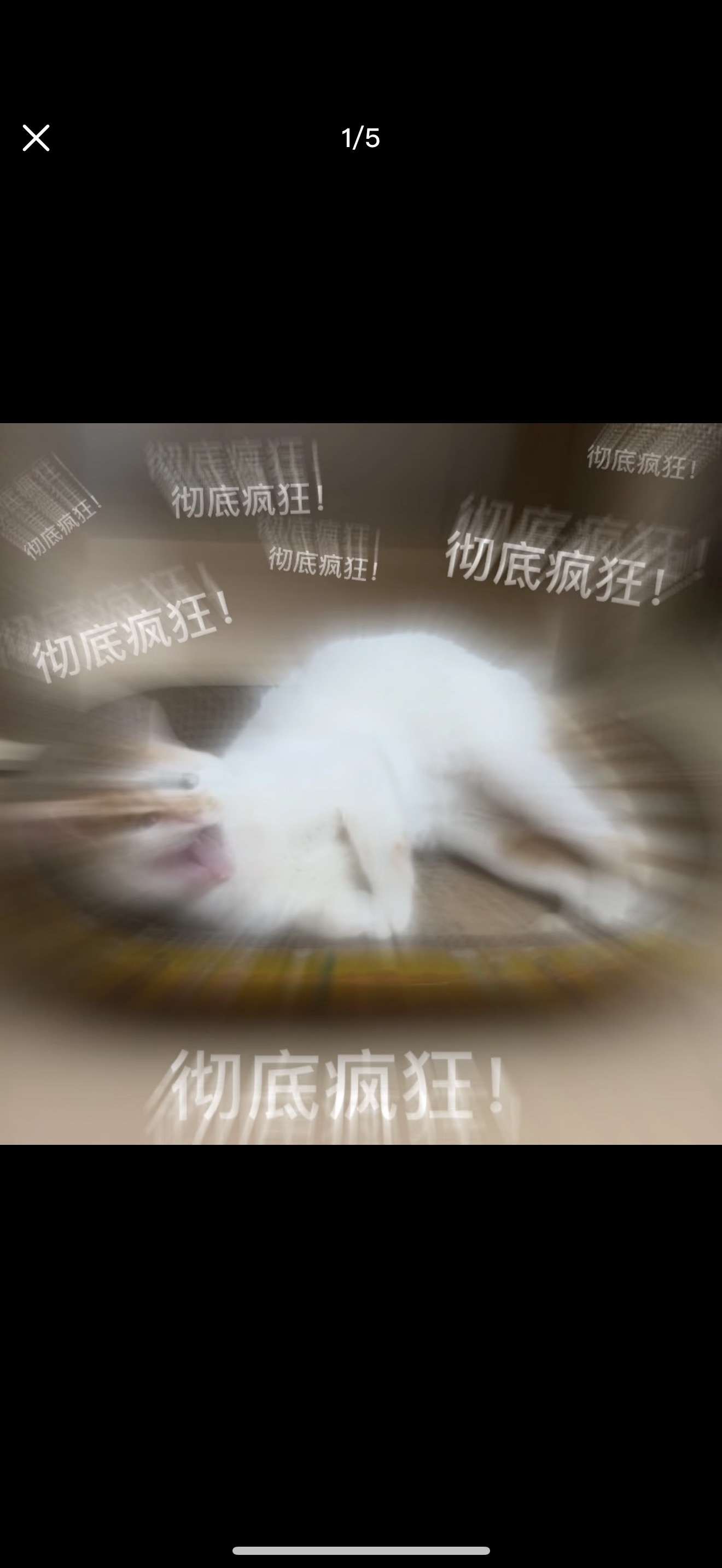 分享图片 