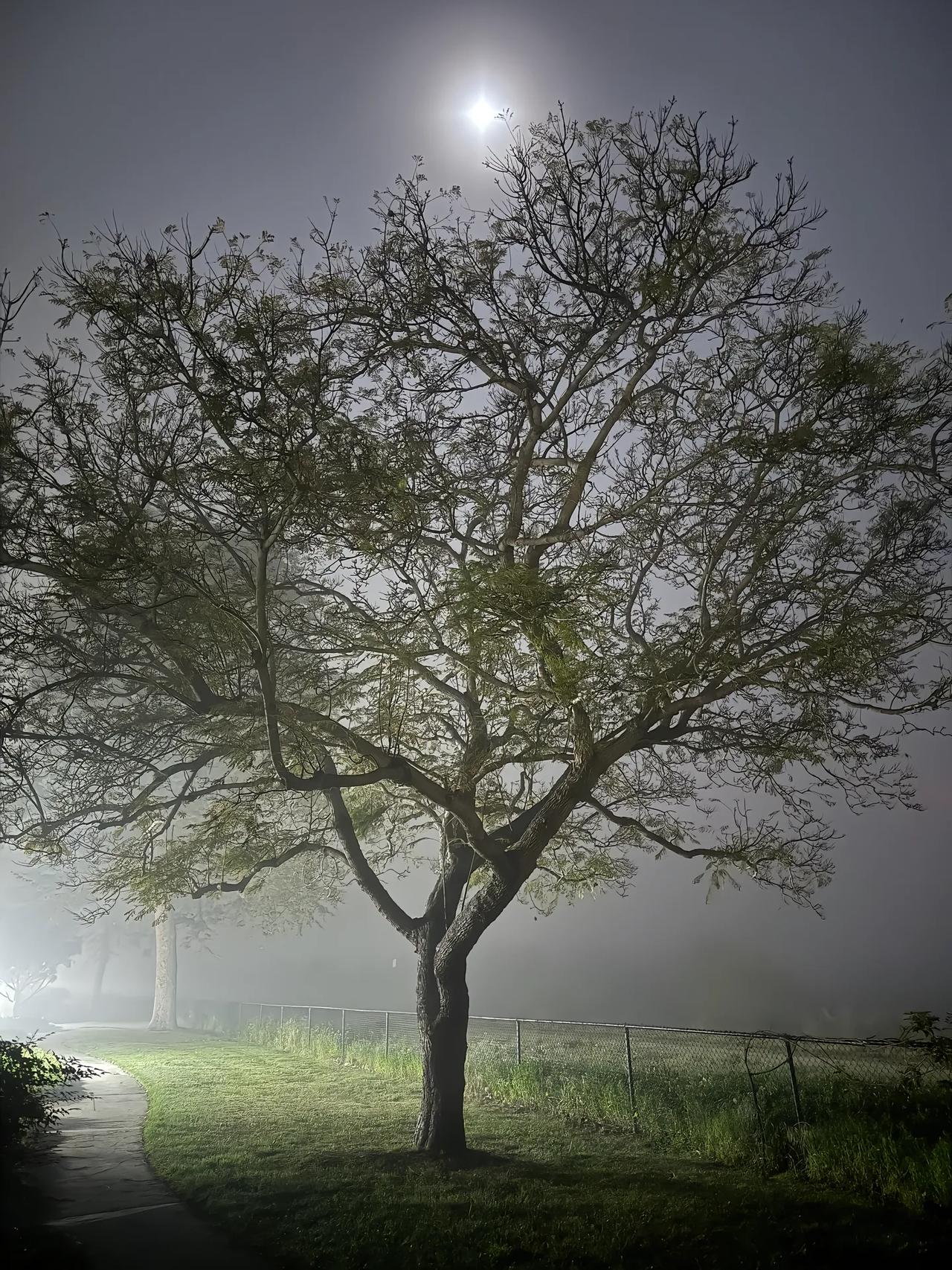 我支持为 60 岁以上的老人发放更多生活补贴，尤其要向农村老年人这一群体倾斜。城