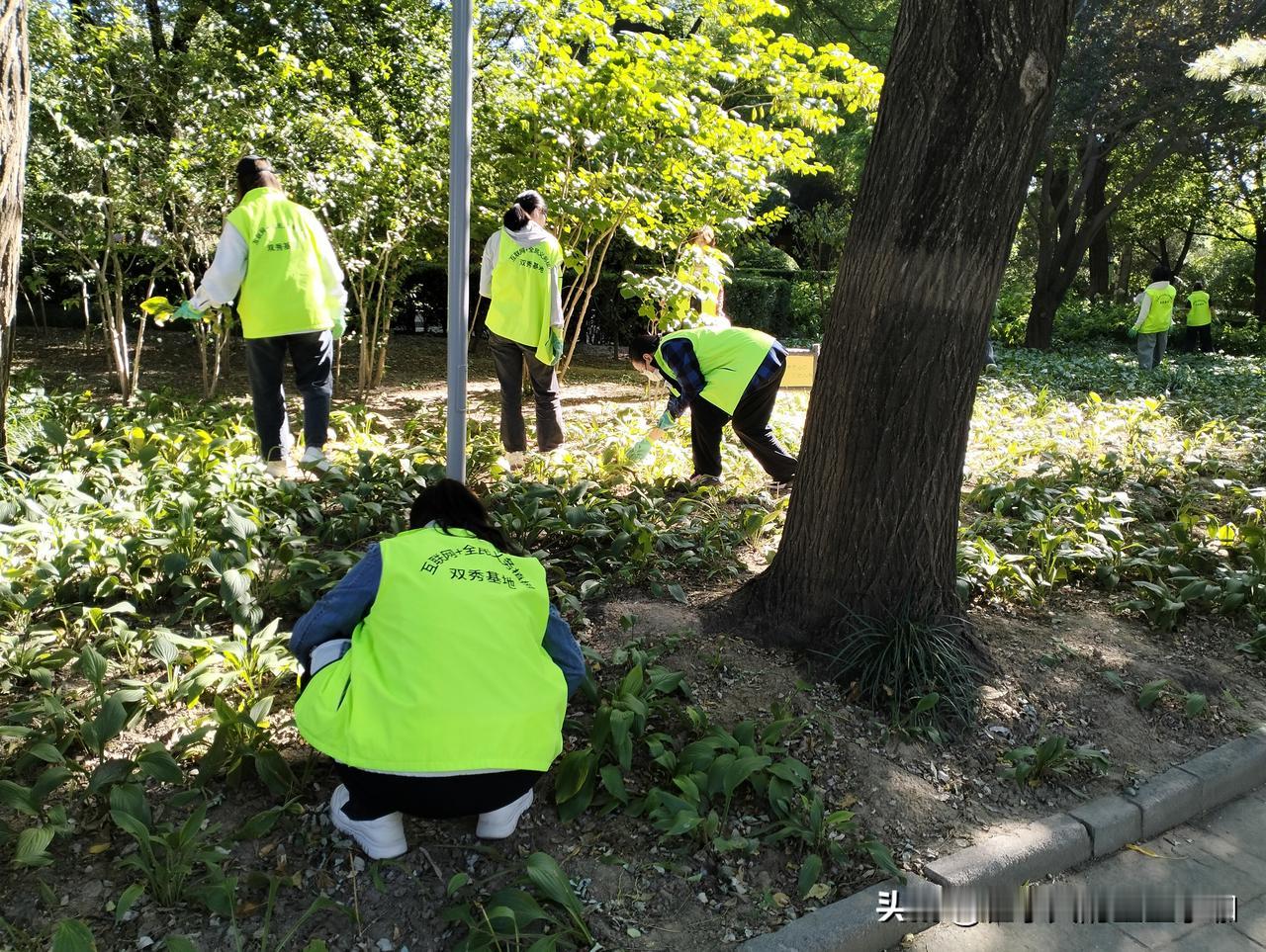 分享一张最近随手拍的照片新华社为你出图你不一定满意，那就留下一张2025年最满意