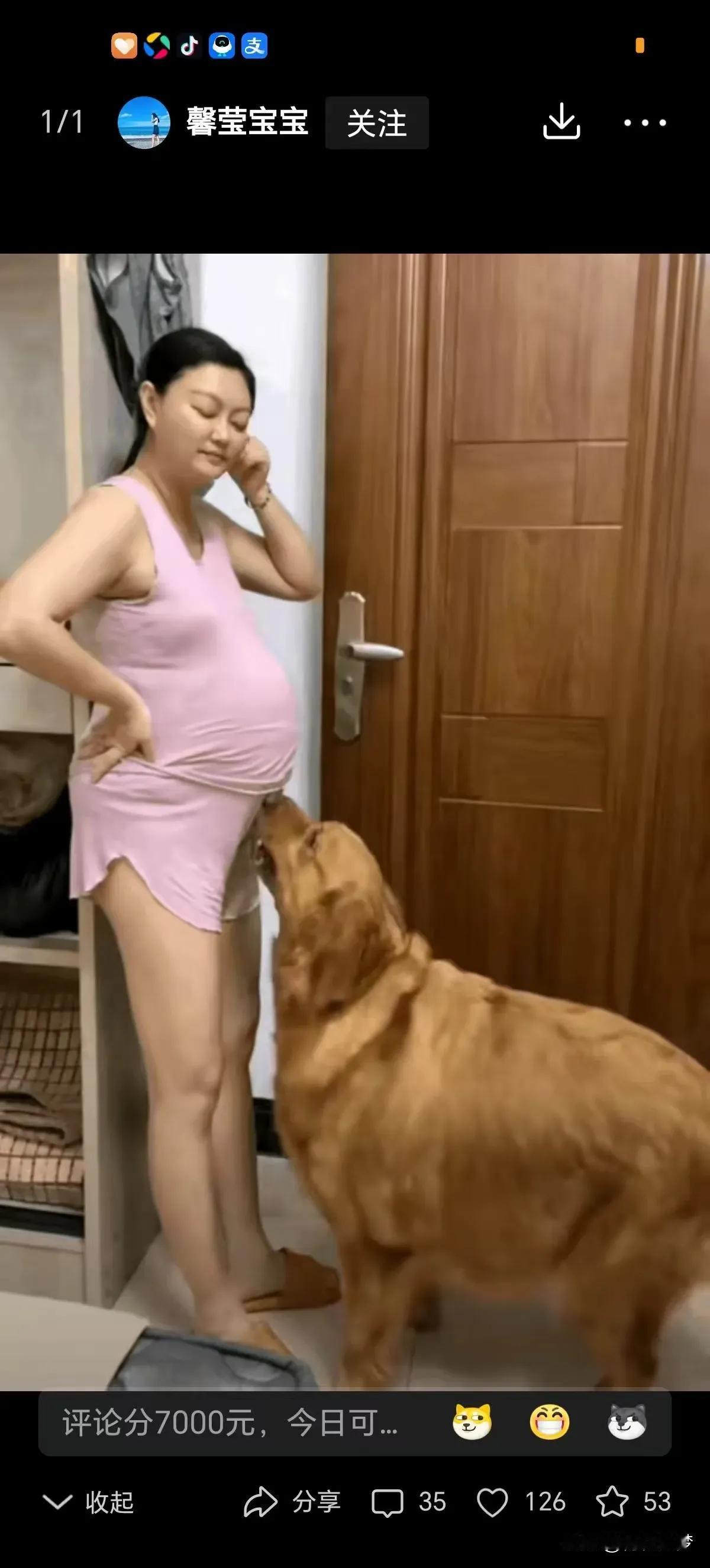 真心佩服这美女啊！
就算给我一百万 一天
这样的大型犬
 我都不敢养
​
​
​