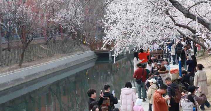 看美景、疏肝气、养气血，中医：这是全年养生的黄金期