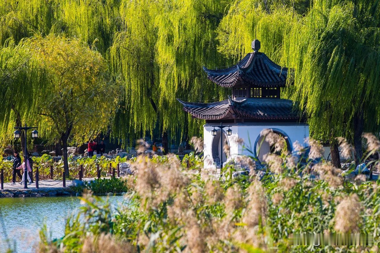 秋是四季的留白，万物不再急着生长，慢慢沉淀，静静收敛。人亦如是，奔波久了，容易被