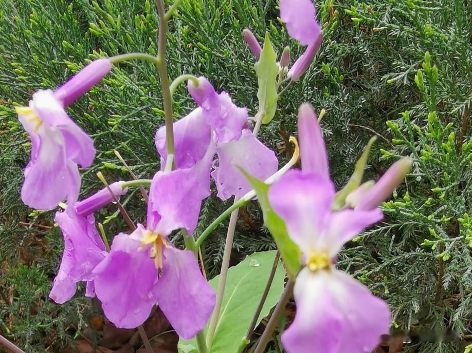 你发现了吗？当代的婆婆们，都不怕儿媳妇身上的这几个臭毛病。
一，不怕儿媳妇说你不