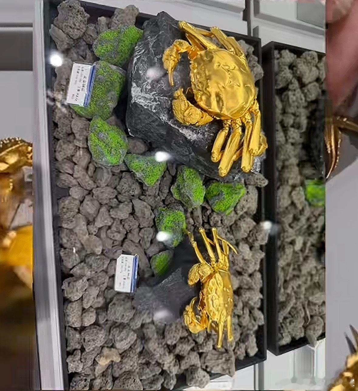 是不是有内鬼啊，宁愿冒着风险卖盗版也不愿意卖正版？山姆一门店黄金大闸蟹涉嫌侵权 