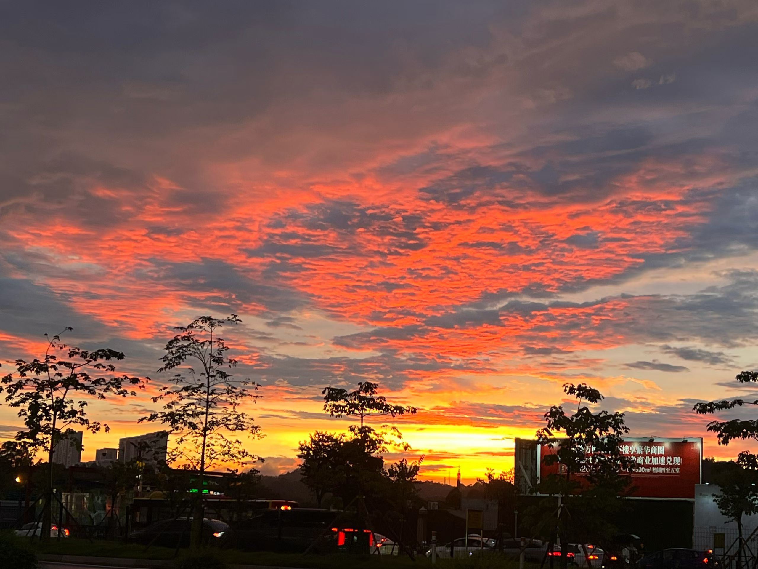 雨后的夕阳美如画