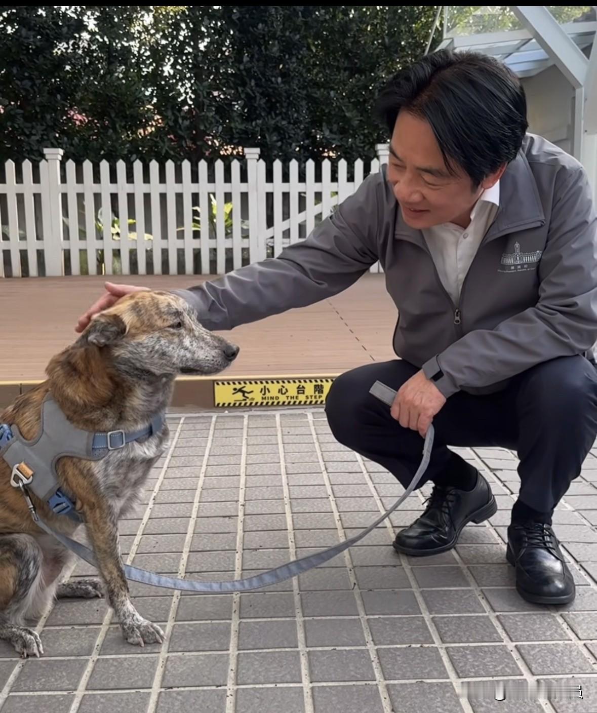 陈佩琪喊赖清德的狗叫“斑斑大人”：请帮我老公说句话

民众党创党主席柯文哲妻子陈