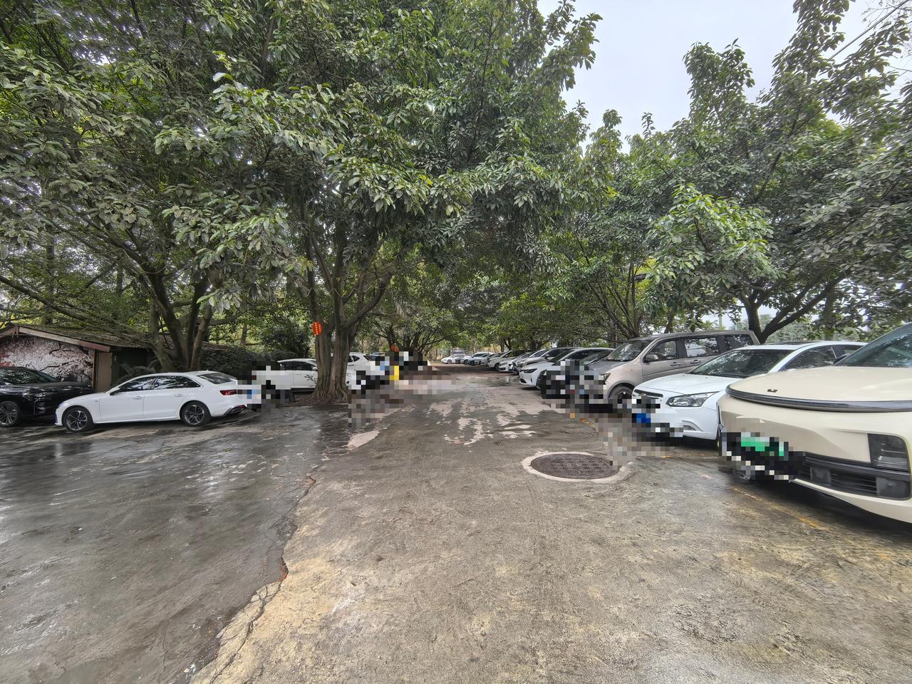 大家都说经济不好，但随便到成都周边的农家乐，车都停得满满当当。

疫情之后，餐饮