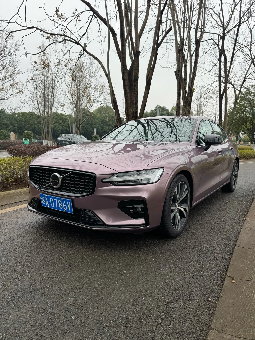 一眼心动💓沃尔沃S60专属定制色【冰莓粉】