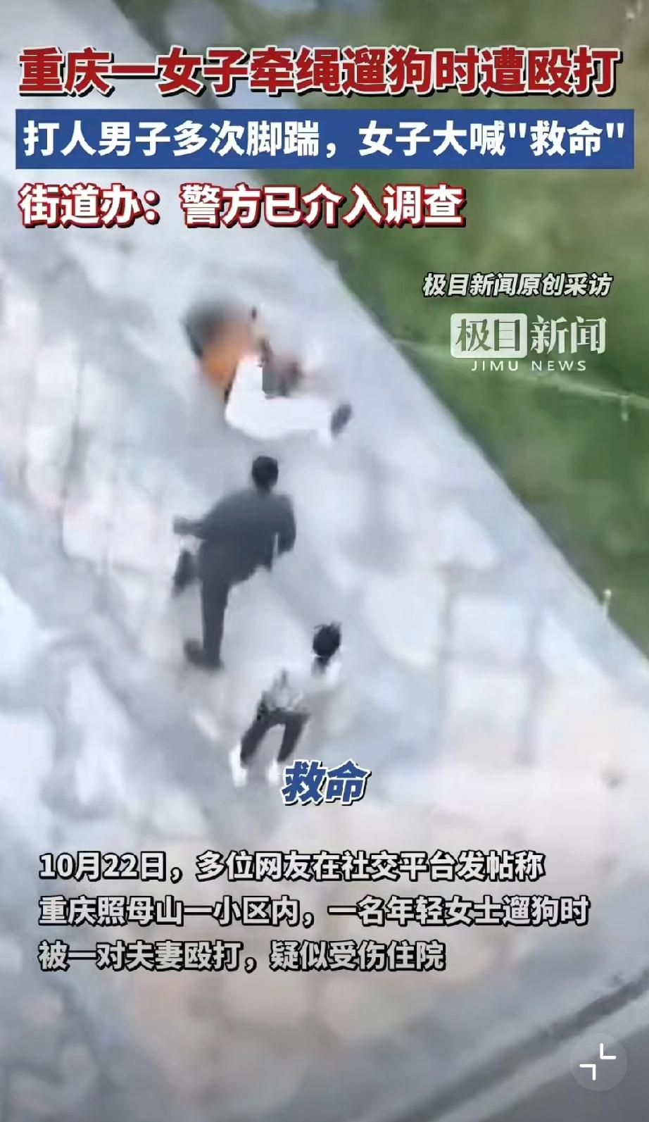 女子小区内栓绳遛狗被男子殴打。 打人不对，该处罚，但是你这狗绳是不是也太长了？搁