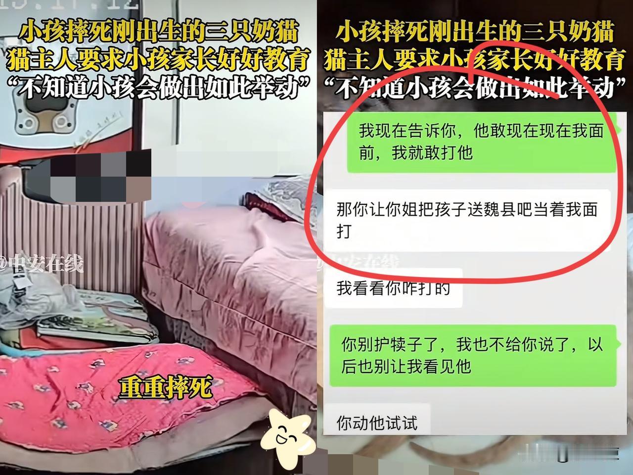 “骨子里的坏”！河北一女子让外甥到自己卧室看刚出生的3只小猫，谁料，女子忙完回来