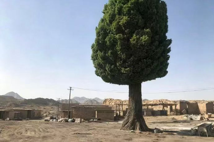 龙餐馆片场照没有过度滤镜修饰，龙餐馆片场原生画面质感拉满，构图极具艺术造诣，还原
