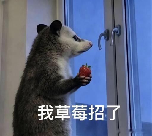 开屏广告没了刚说开屏广告没了，兴冲冲把主流软件挨个儿测试了一遍，高德、百度、网易