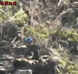 在斯瓦托夫方向进攻受阻后，2名俄军士兵因心理压力过大，选择了不同的方式自我“去军