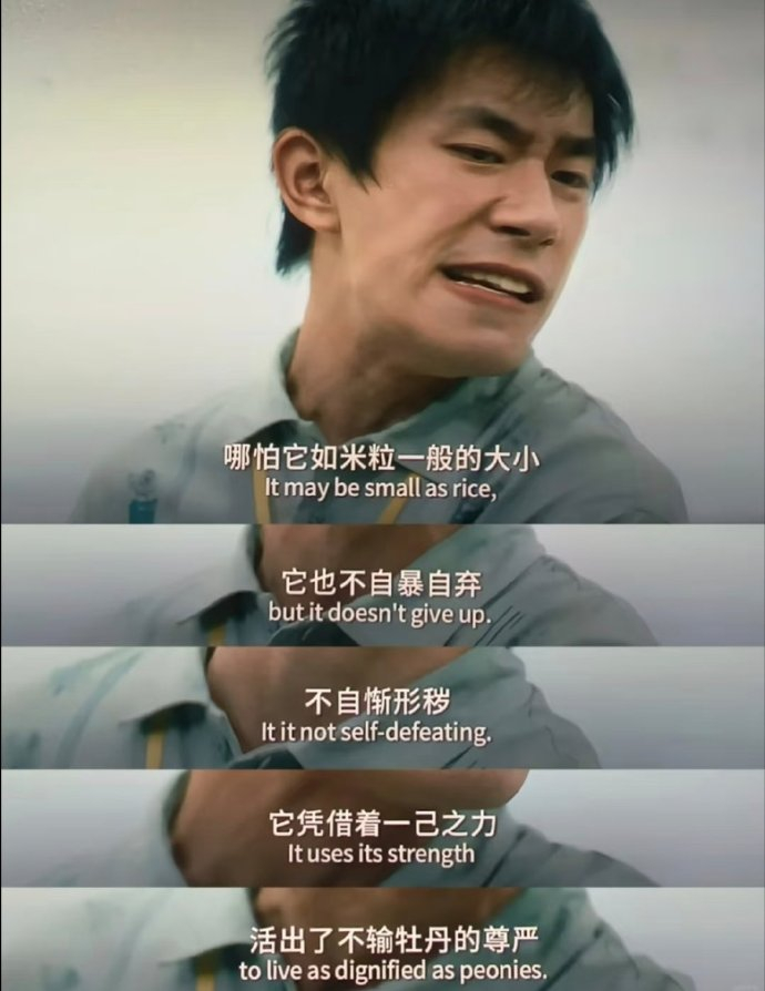 易烊千玺易烊千玺跨越国界引发共鸣海外观众也看懂了易烊千玺小小的我 海外观众也看懂
