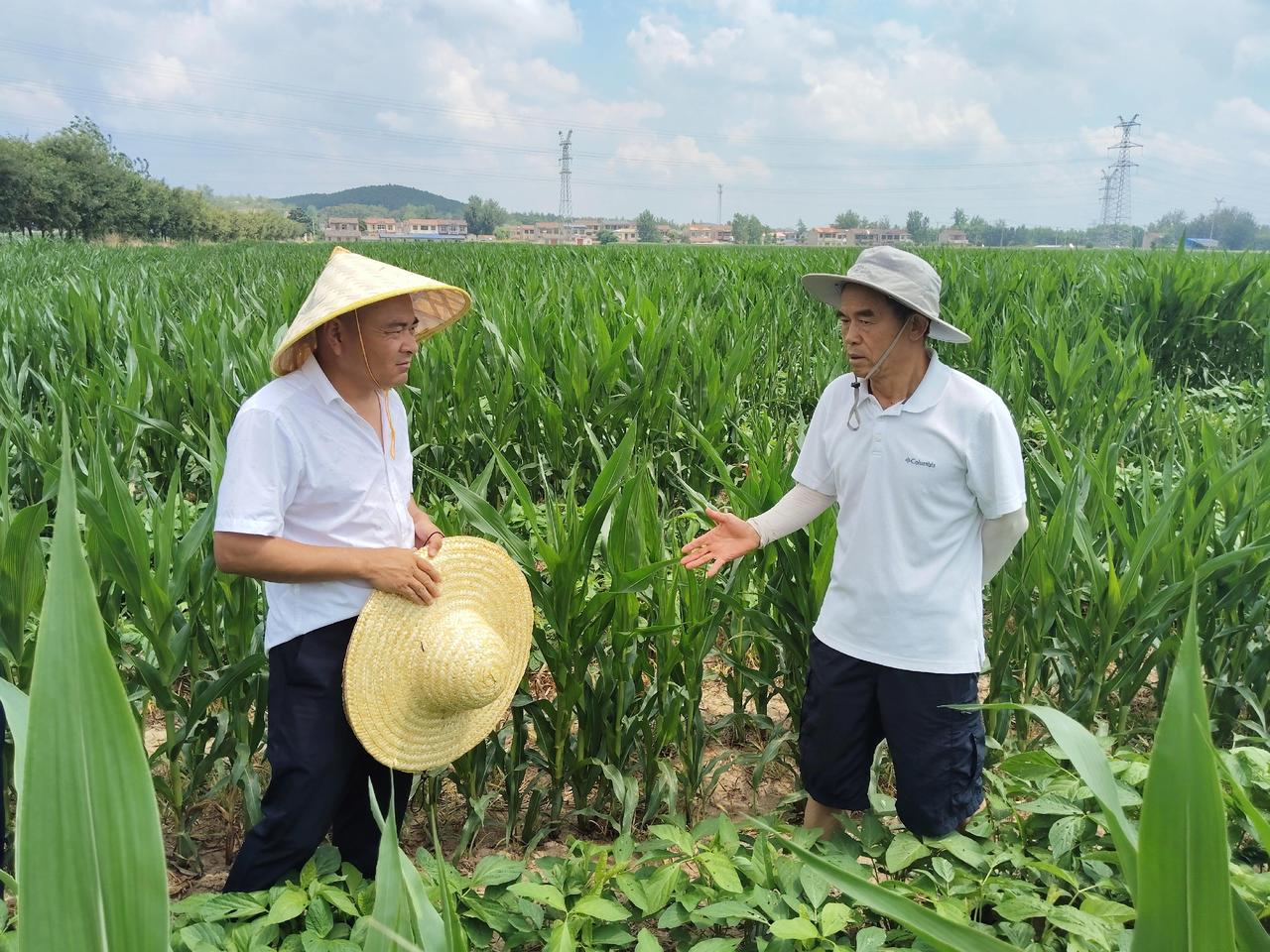 复合种植 抖音助农