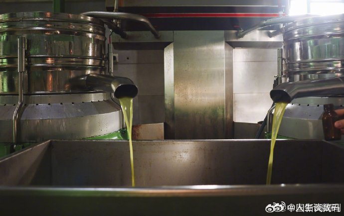 #金龙鱼股价大跌#这真是应了古话呀，不是不报时候未到，该还的早晚都会来。道路千万