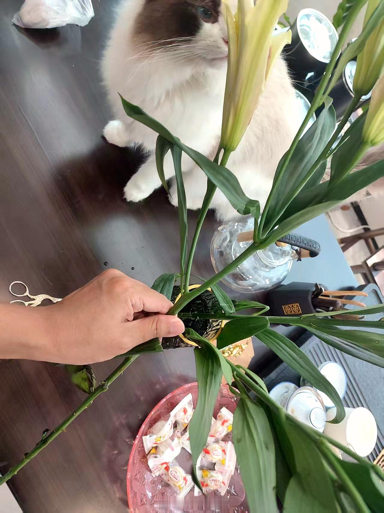 不是我，我在插花。 ​​​
