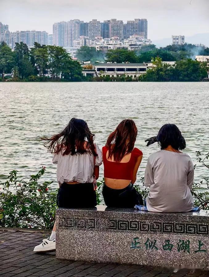 真会拍[赞][赞][赞]