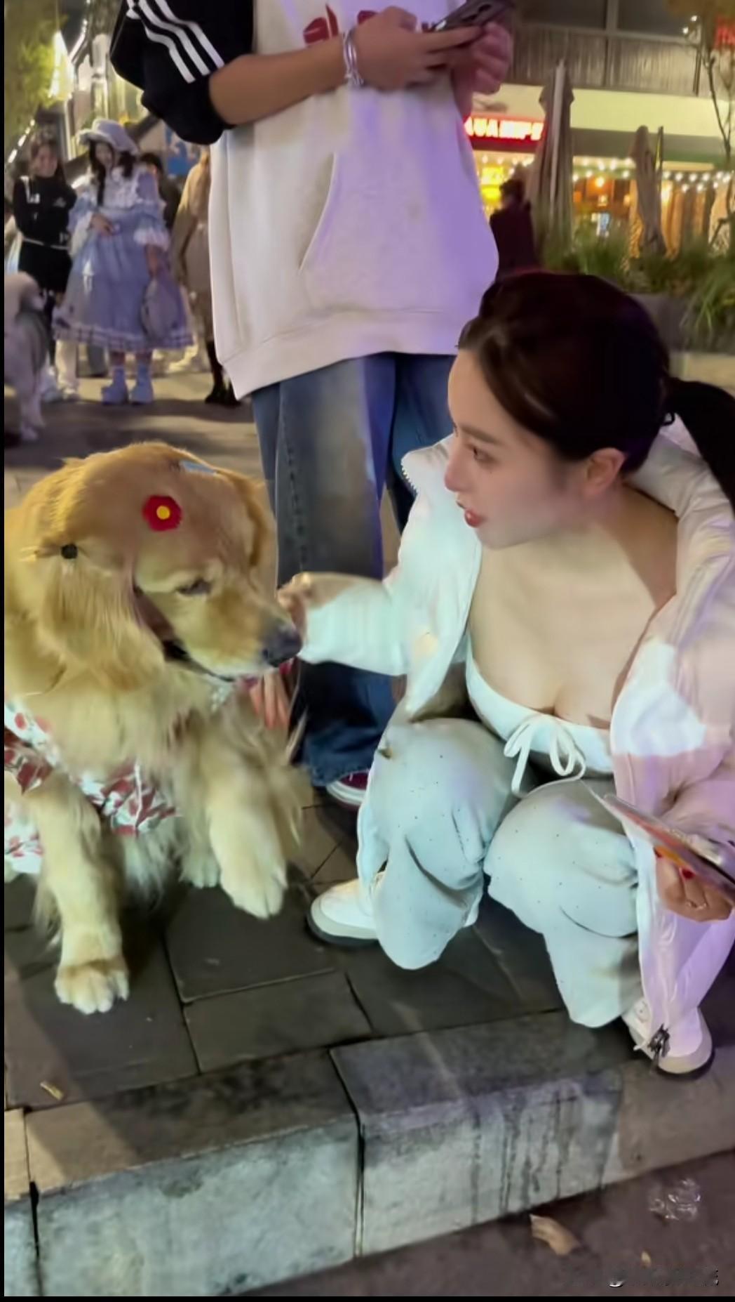 妹子一言不合就去撸“野生”大金毛，感觉狗狗的眼神此时此刻是迷糊的。