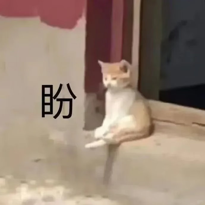 我在等一个端午营业