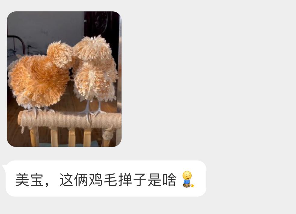 人工培育的观赏鸡🐔好潮啊它俩！ ​​​