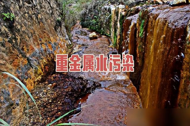 真是后悔没早知道！最近刷到好多人问“自来水要不要装净水器”，安装师傅的话直接点醒