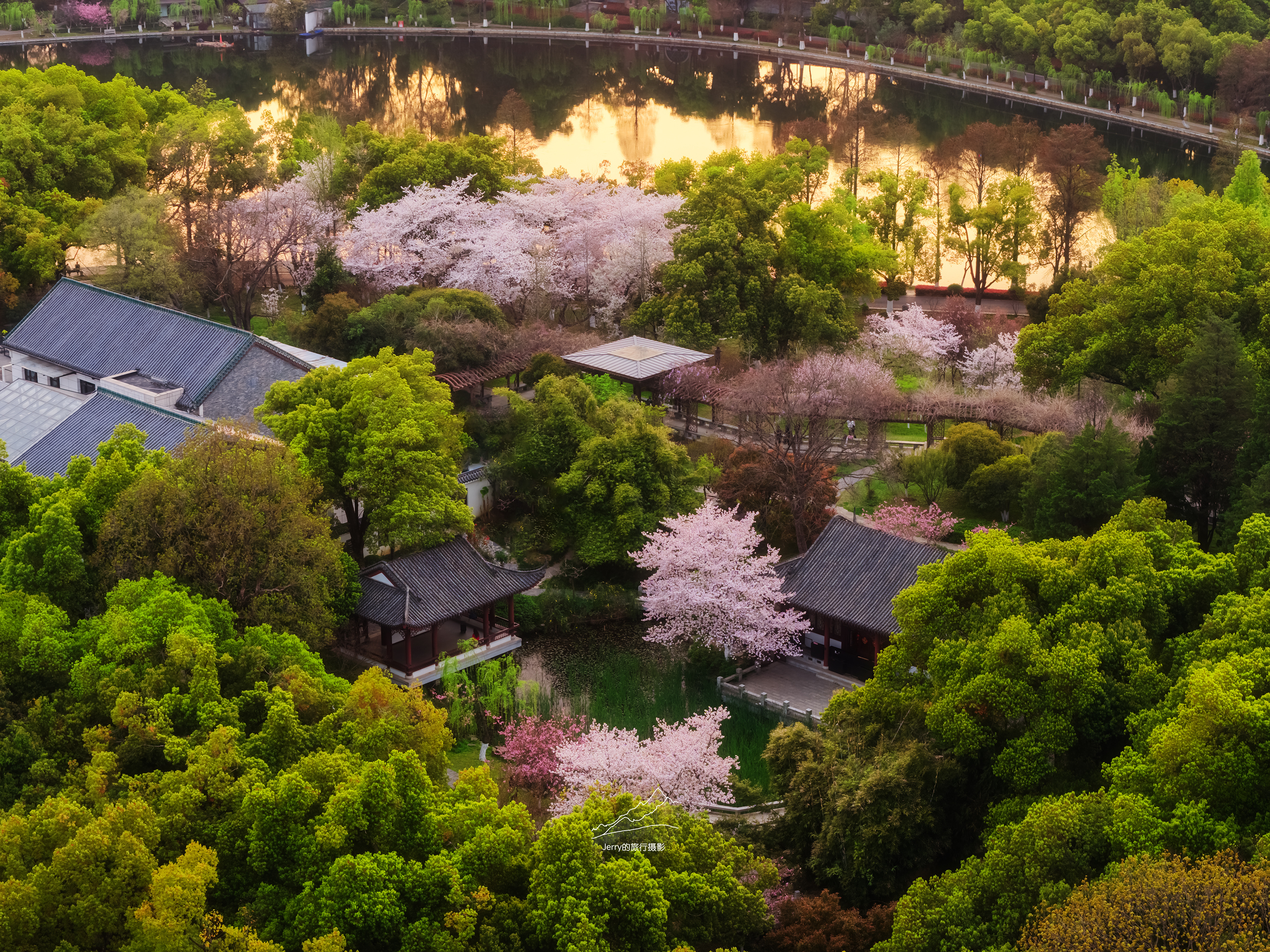 武汉东湖梨园犹如草芥灿若星河 武汉