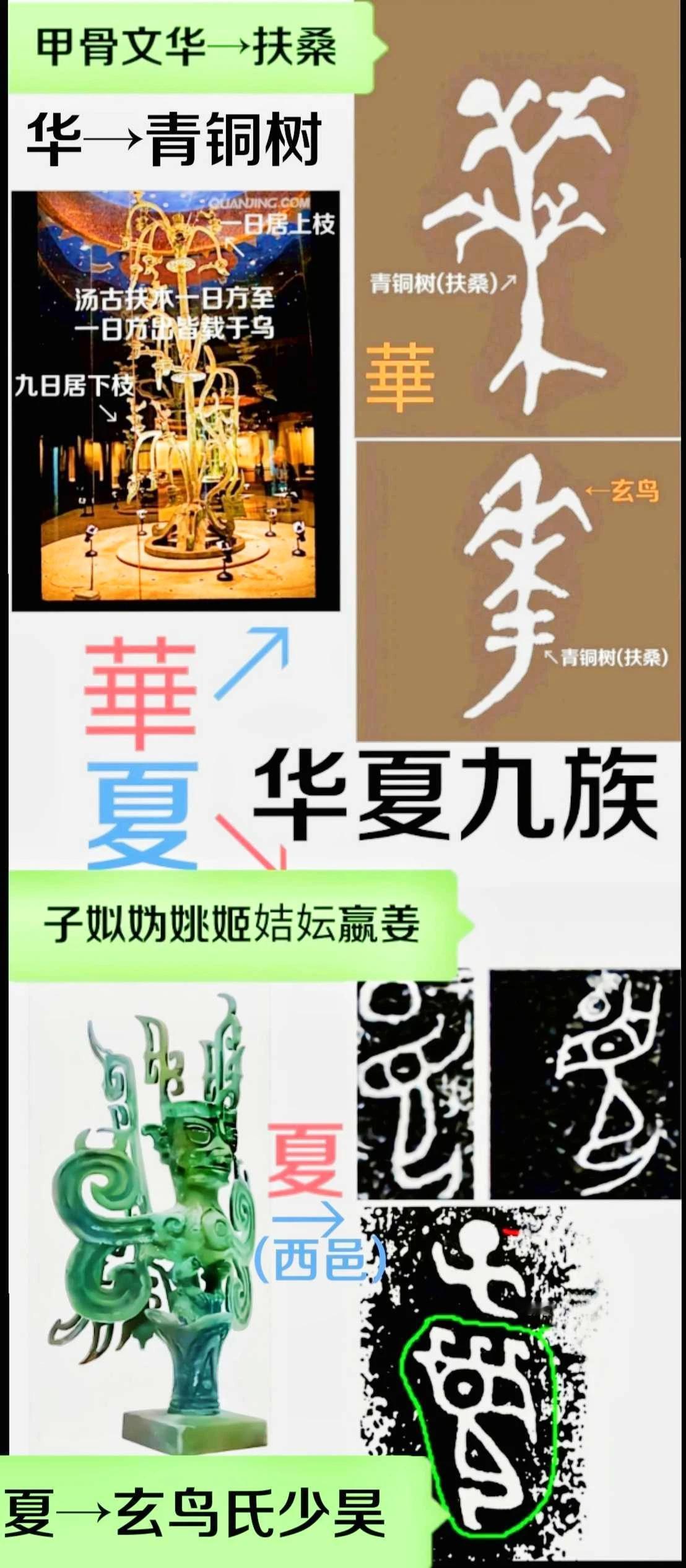 华→汤谷扶桑树（山海经）→东夷九族会盟（禅让制）象征（史记）→三星堆青铜神树[作