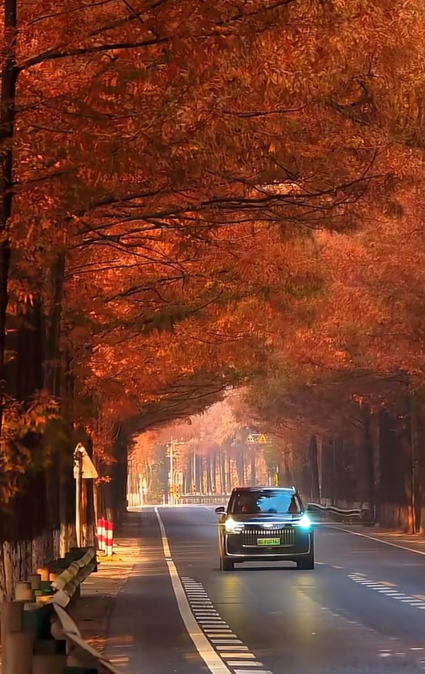 橙红铺满前路，风云T11自在奔赴秋意入怀，每一程都有风景。这画面，给的意境很美！