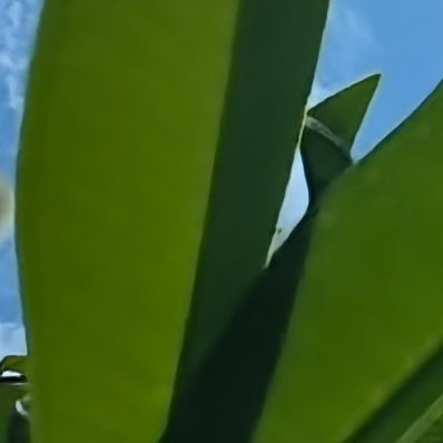 每日一善 善良，是春日里的一缕暖阳，温暖而和煦，照亮每一颗需要关怀的心。 