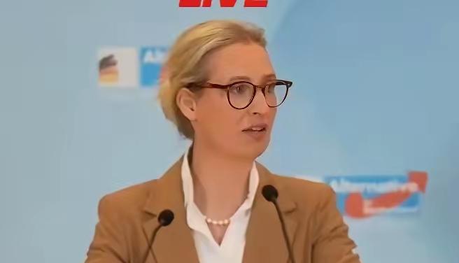 德国选择党联合主席爱丽丝·魏德尔称，尽管特朗普存在干涉他国内政的行为，但唯有他能