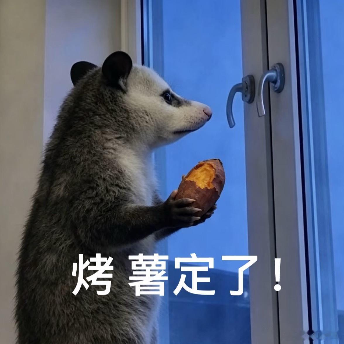 完蛋了，昨天复习太晚，睡到这个点才醒，高考语文和数学都缺考，一下子少考两门，我还