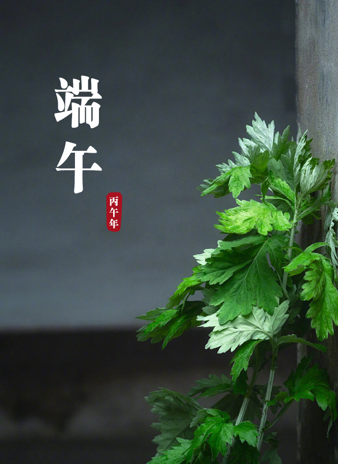 端午节粽子香，香满堂艾叶挂在大门上出门一望麦儿黄这儿端阳，那儿端阳处处是端阳二〇