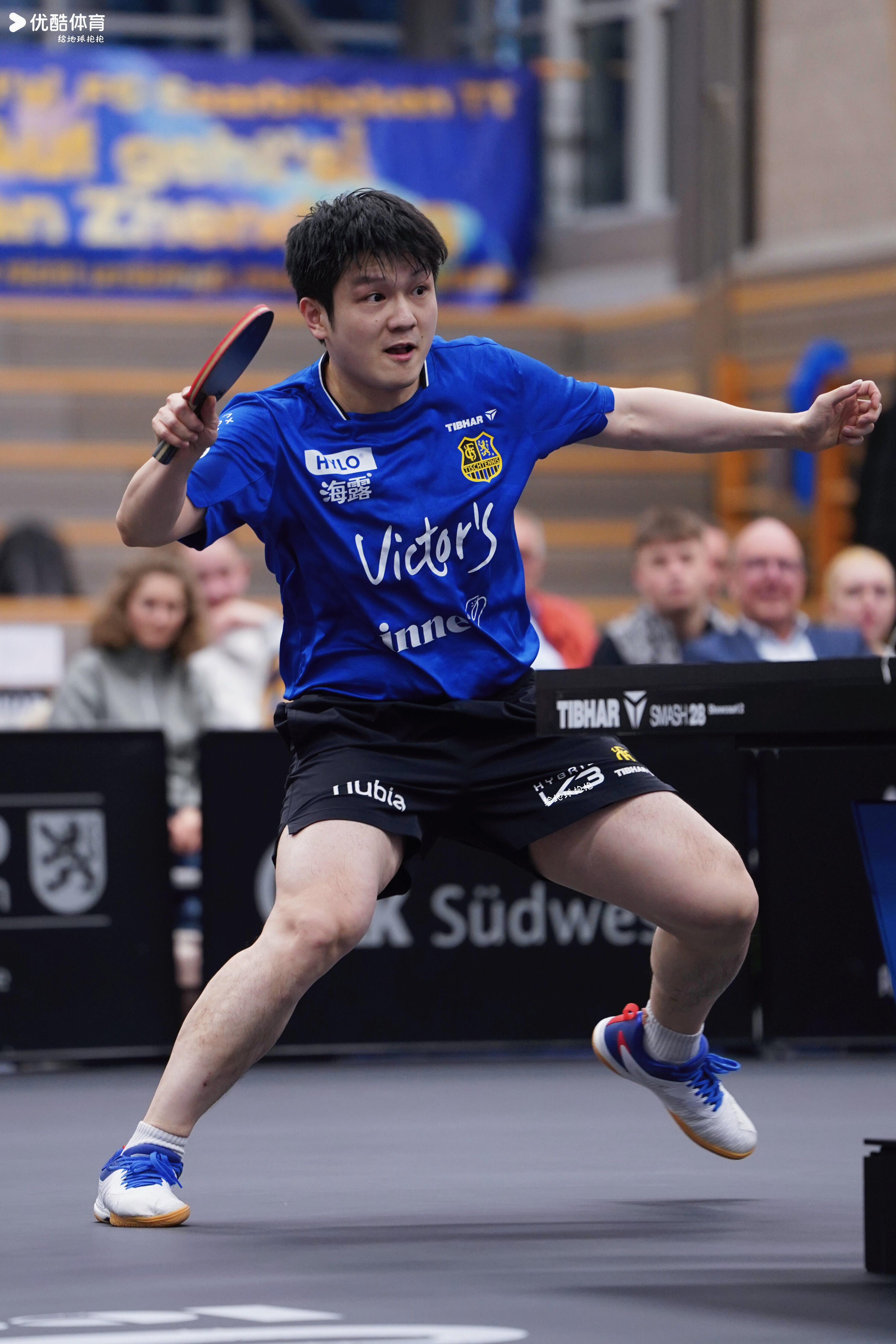 樊振东- 心有猛虎，细嗅蔷薇 