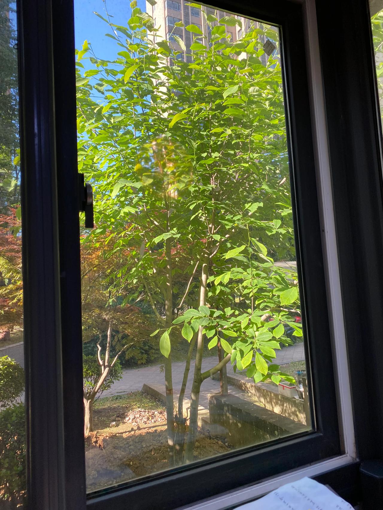 黄牛真的很厉害，去医院，遇到一些病友，发现去大医院，你正常排队拍片子检查，都得等