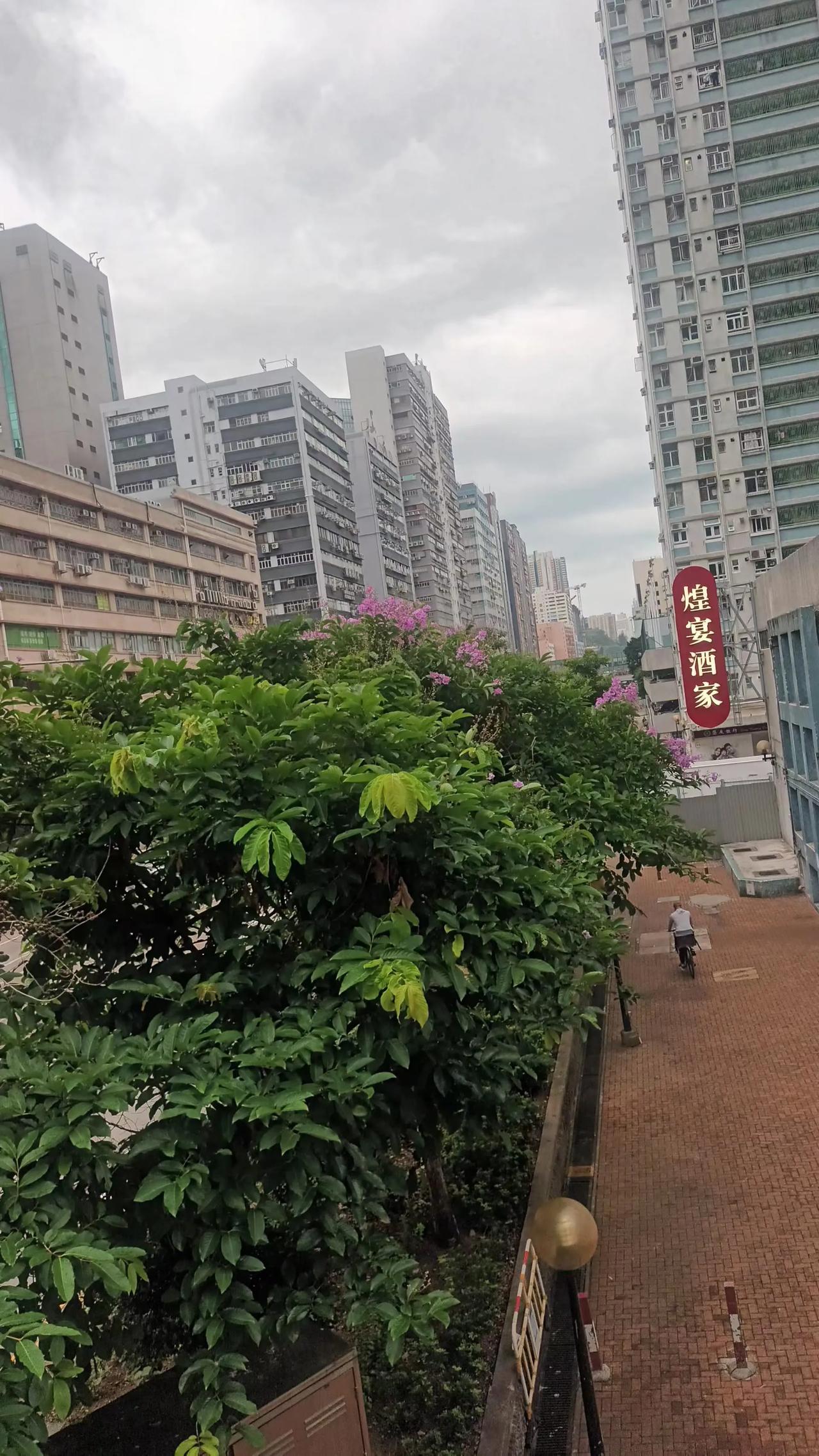 骤雨天文象
​水汽蒸或降
​春别夏接踵
​祈福太平世
​早安