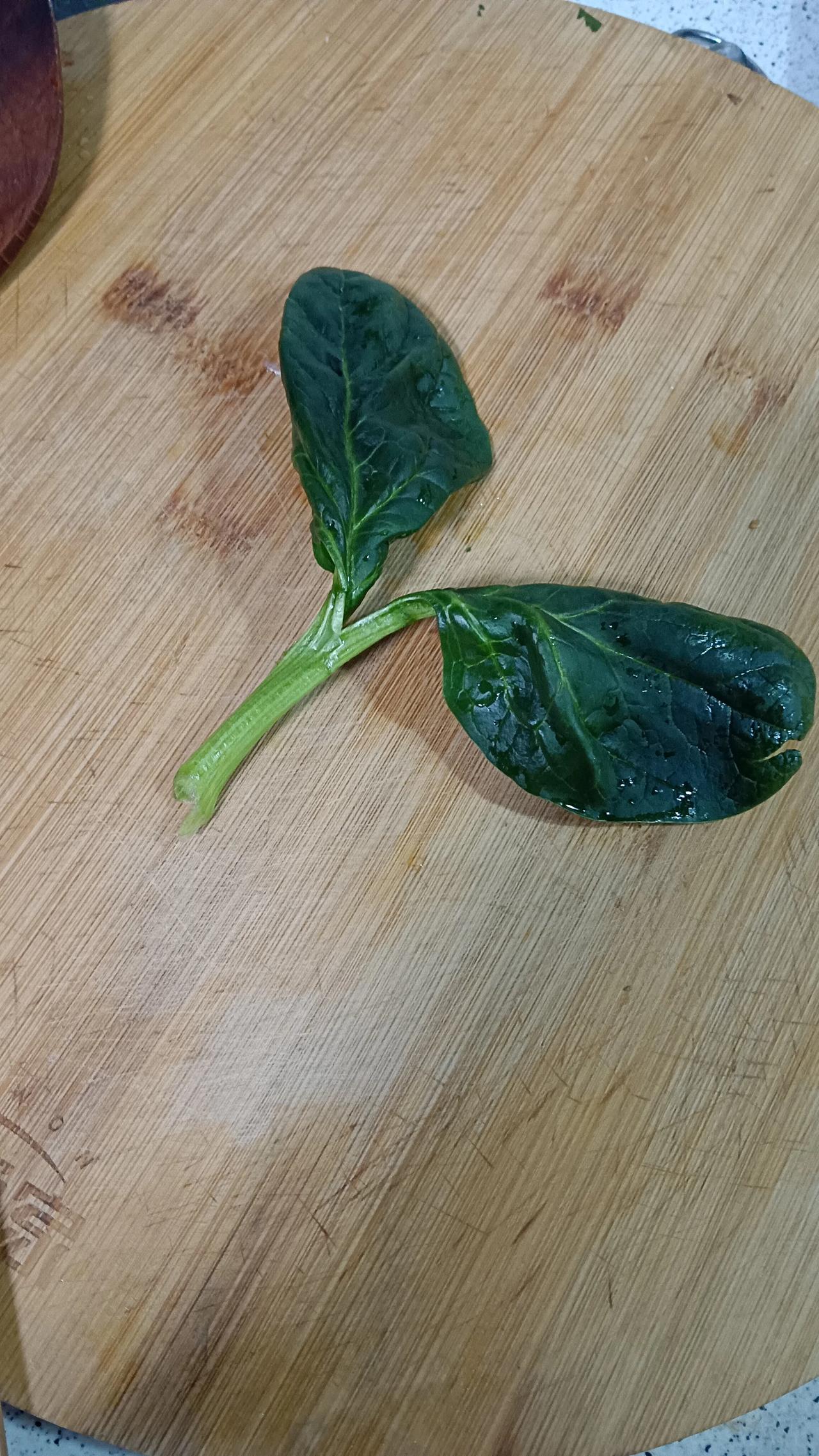 这样的菠菜叶子是很少见的。没有见过的人，往往不相信它的存在。
从事各类研究的人似