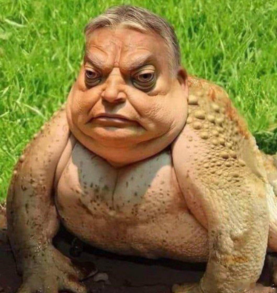 瘪三欧尔班现在歇斯底里的呱呱叫，如果牠的政党在2026年大选中落败，匈牙利可能会