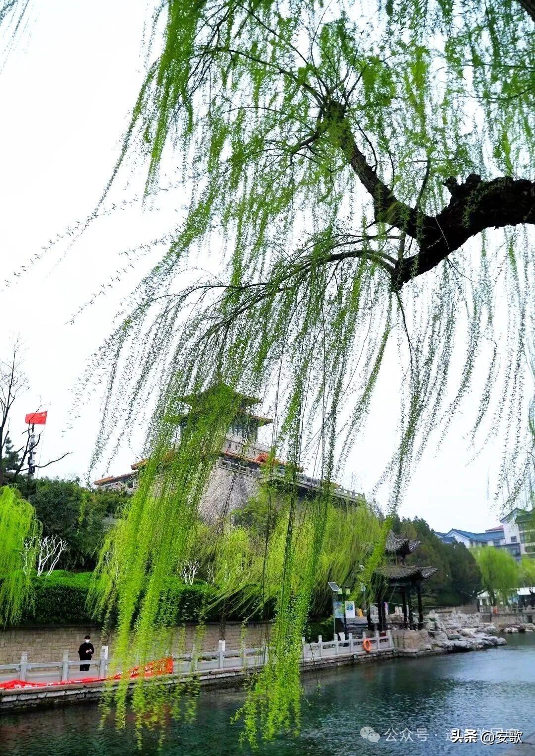 上联:杏花烟雨江南梦
下联:杨柳春风古道情
横批:岁月如歌