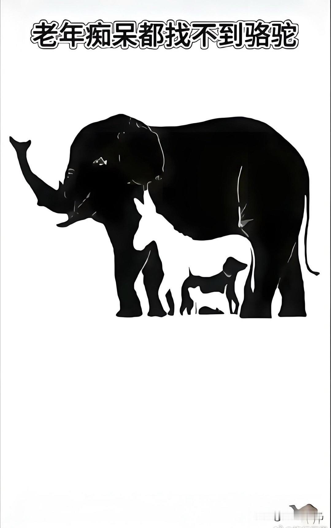 网上看到的一张图，有点意思：说是老年痴呆都找不到骆驼……你能找到吗？