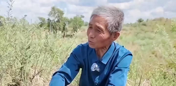 在内蒙古乌审旗萨拉乌苏村，毛乌素沙漠的腹地，曾流传着一句让人心酸的老话：嫁到井背