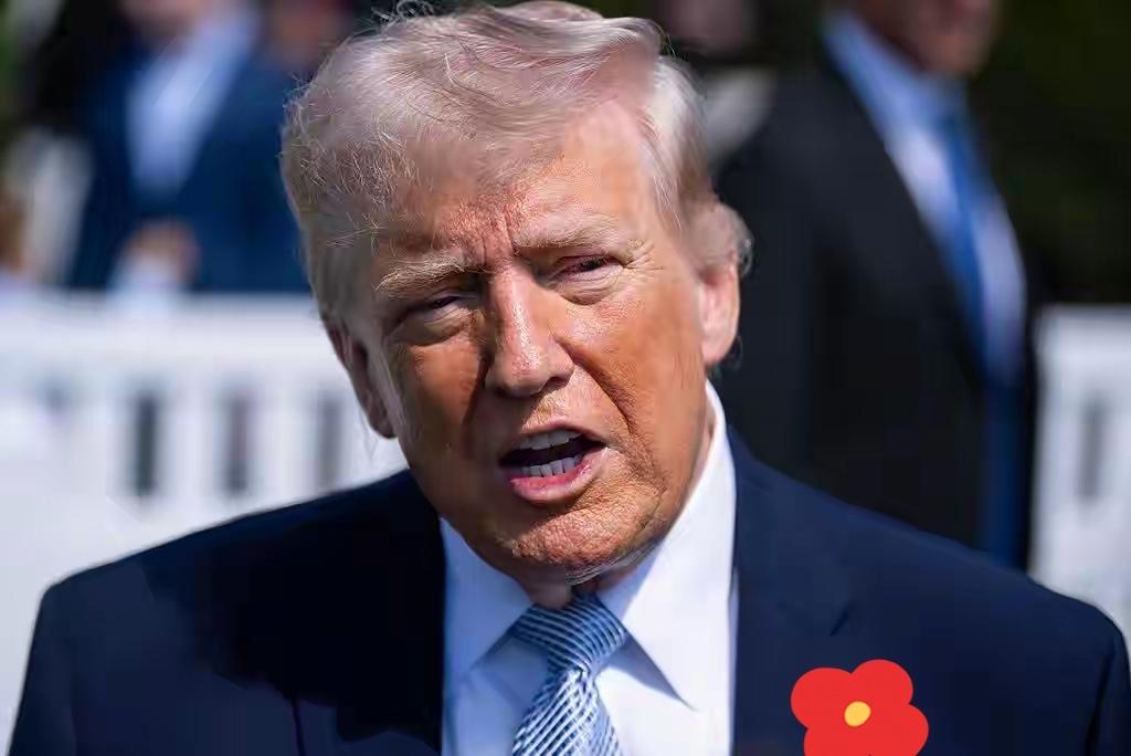 当地时间4月12日，美国总统特朗普在社交媒体平台发文称，即刻起，美国海军将开始对