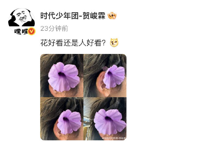 时代少年团愚人节组团整活看着时代少年团各出奇招、互相伤害，这种不费力的松弛感和少