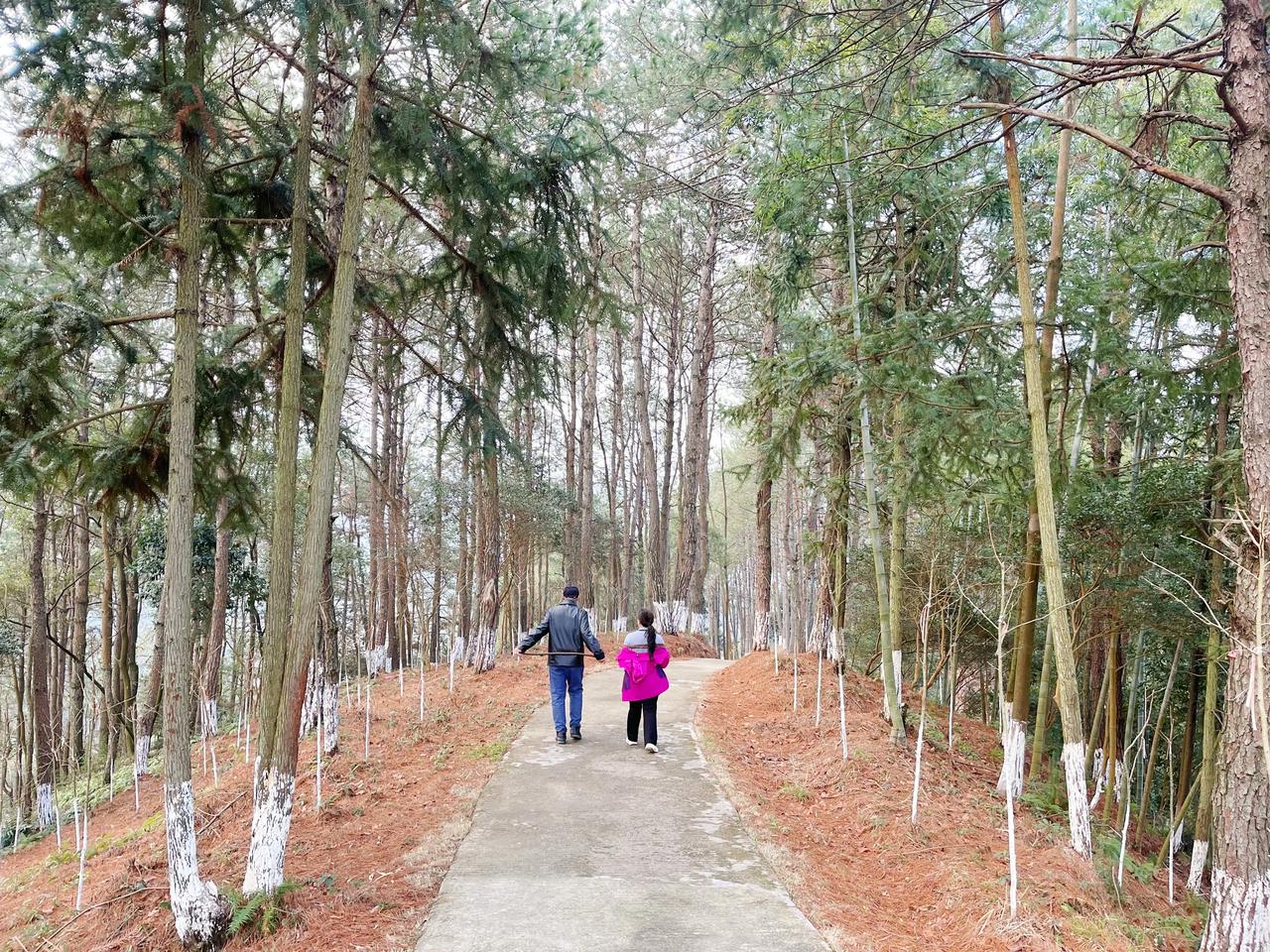 在温汤玉盘山公园里，看到一对夫妻正在山路上行走，远看画面感觉超棒，随即按下了快门