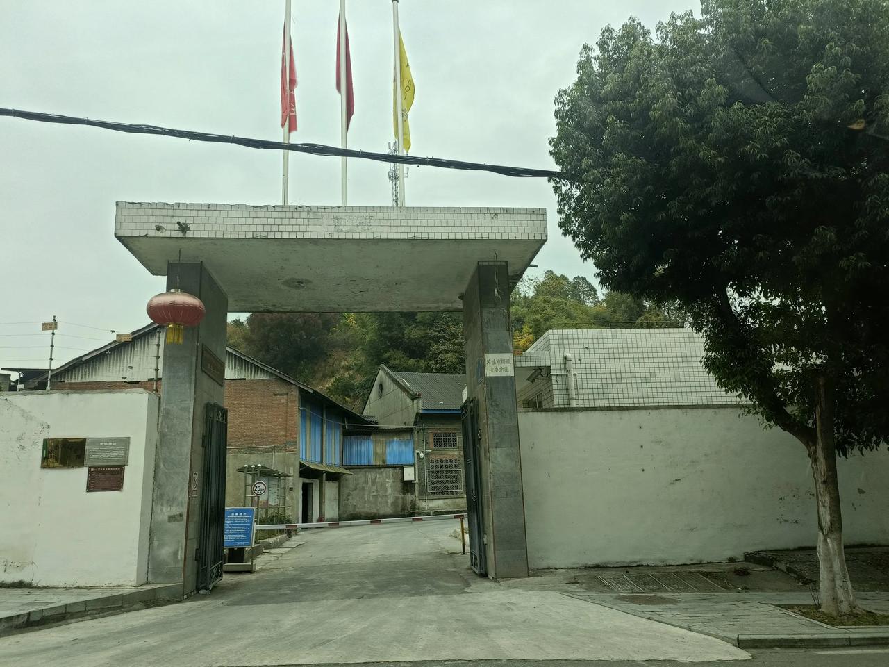 绵阳市酒厂丰谷分厂。这是不是原来的丰谷酒厂？与普明飞云大道的丰谷酒业有关系不？请