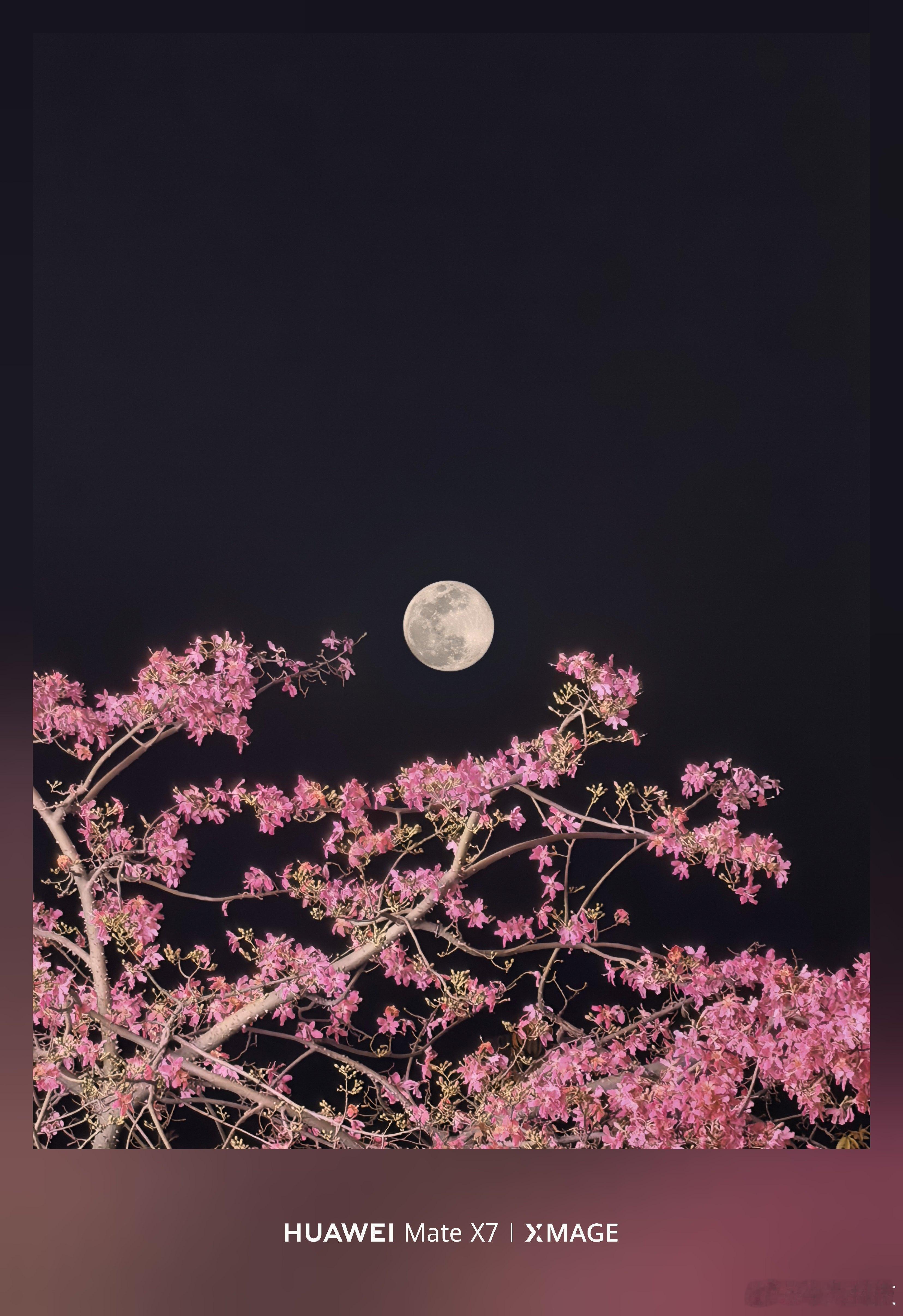 手机拍月亮还得是看华子，看我用华为Mate X7拍的今晚超级月亮如何？ 深圳·华