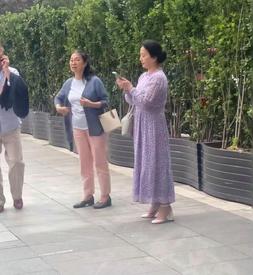 刘亦菲的妈妈上年纪了还是美贵妇。 ​​​