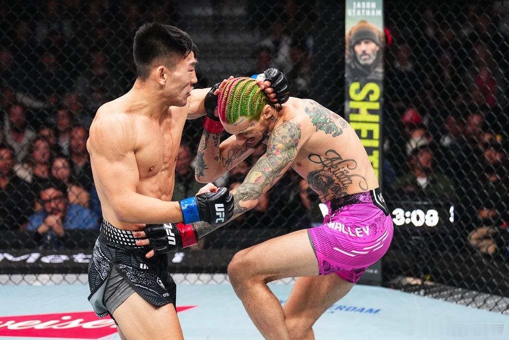 冬奥会 随着冬季运动的普及，越来越多的人喜欢上了滑雪。这其中也包括中国综合格斗名