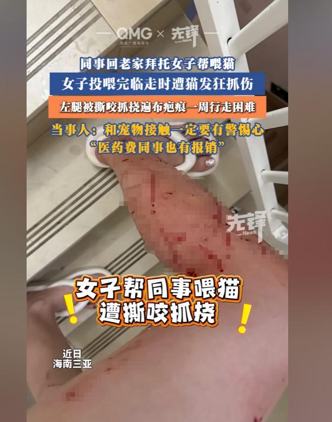 好心帮同事上门喂猫惨遭抓伤，满腿血痕去医院打针，善良真的不能毫无防备。
 
本来